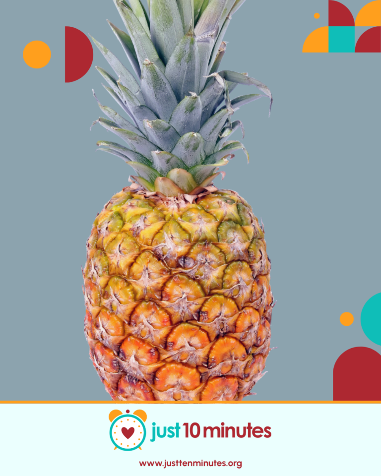 screen free activities for kids